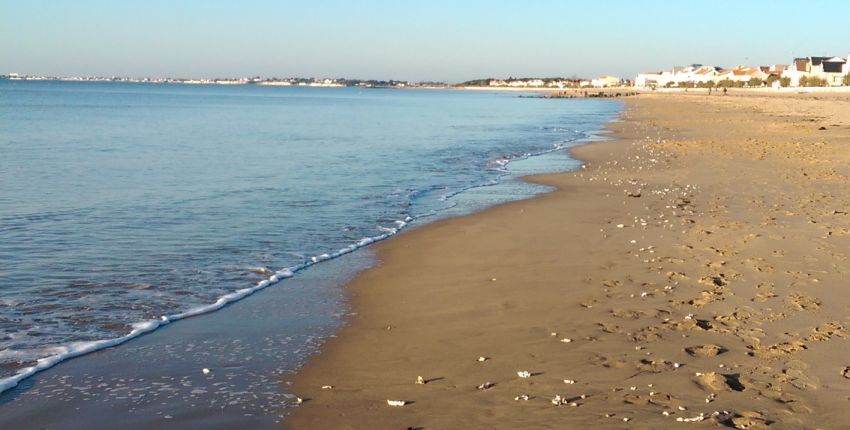 Vous cherchez une plage de sable fin en Seine-Maritime ? On vous