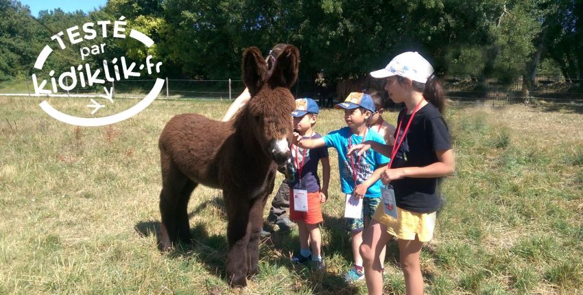 Les reporters en mode nature, à la découverte des ânes à l'Asinerie du Baudet du Poitou !