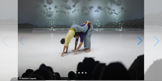 Mouche ou le songe d’une dentelle | spectacle de danse et arts visuels, dès 3 ans | Théâtre d'Angoulême