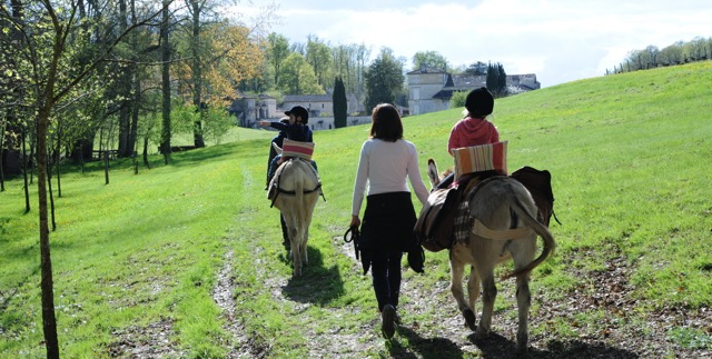 Cet automne, partez en randonnée avec un âne de la Rêverie, entre Saintes et Cognac